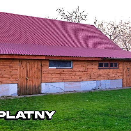 Agroturystyka Nielisz Zamosc - Kwatery Przy Skansenie エクステリア 写真